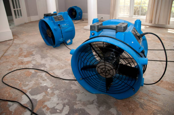 Best Commercial water damage restoration  in Huron, CA
